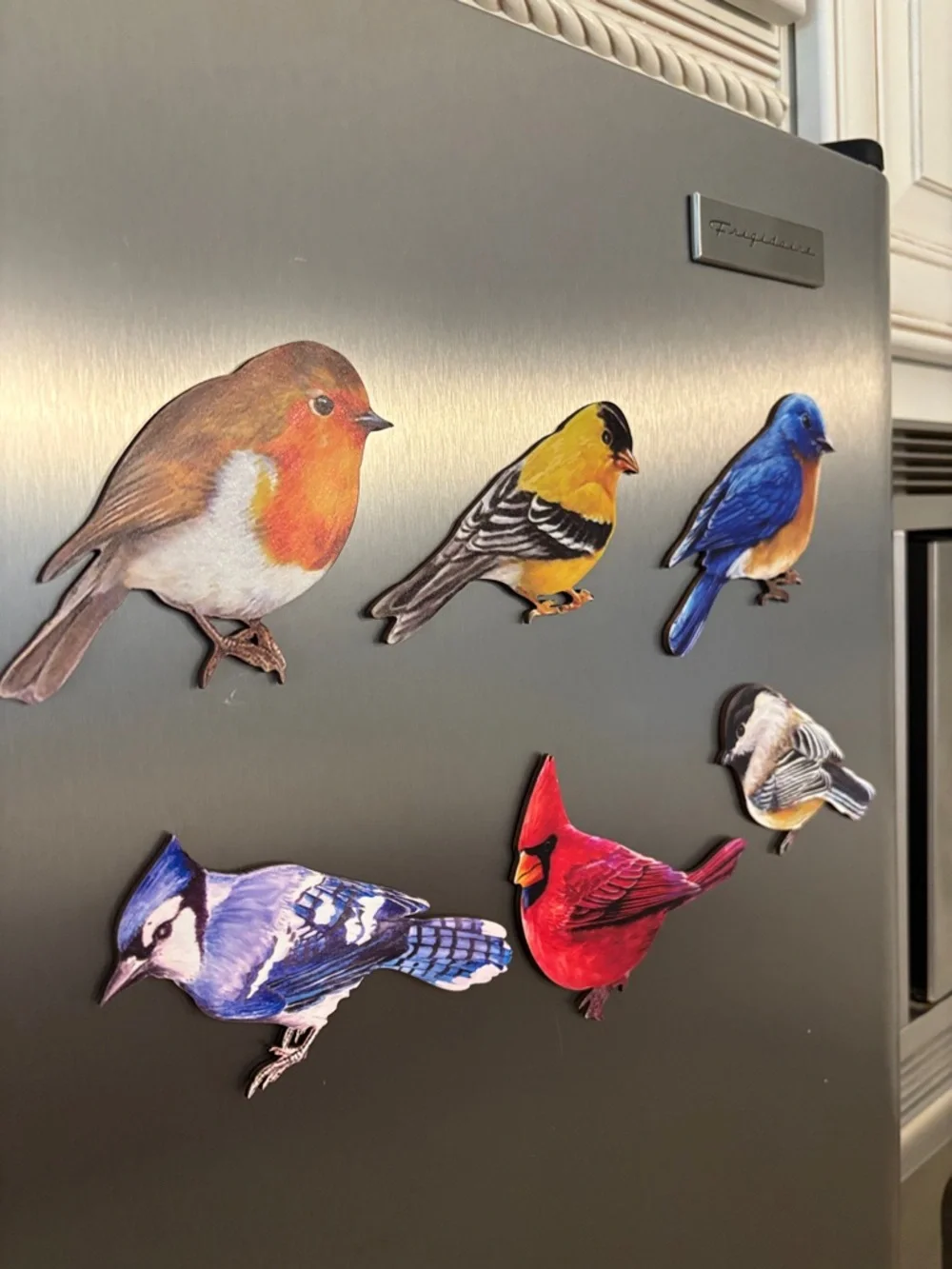 6🐦⬛Bird Magnet‎ Set - Colorful Decorative Bird Magnets for Fridge